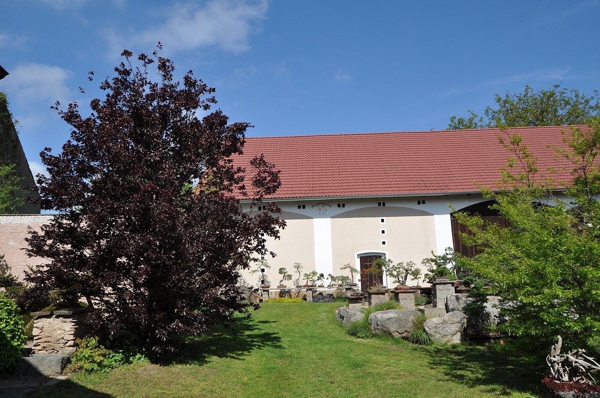 BONSAJE