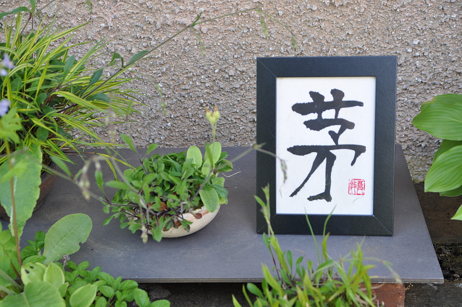 dle potřeby ostřihneme a vložíme do rámečku