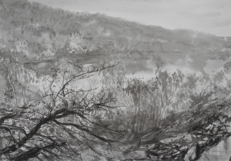 Zámky 2, tuš na papíře, 29,7 x 42 cm, 2020