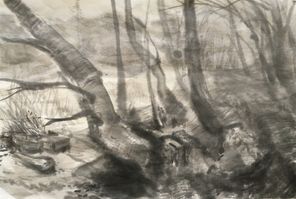 Z Drahaňského údolí, tuš na japonském papíře, 23x 34,5 cm, 2022