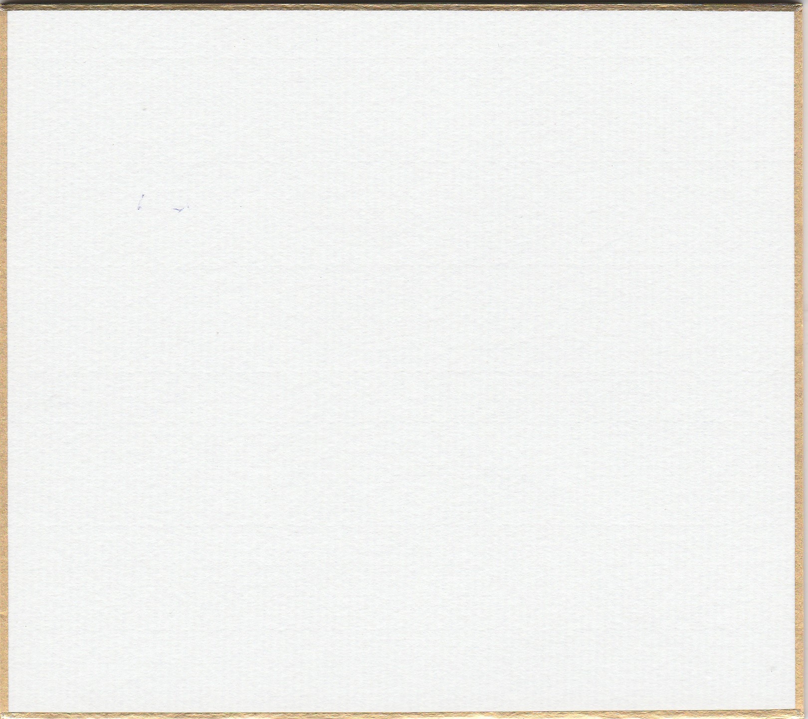 šikiši karton mini, 10 ks