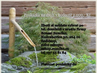 dárkový kupón 2000