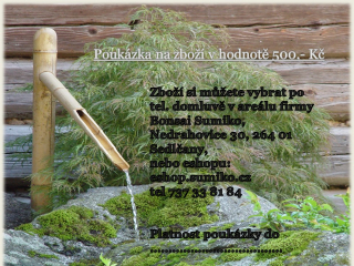 dárkový kupón 500